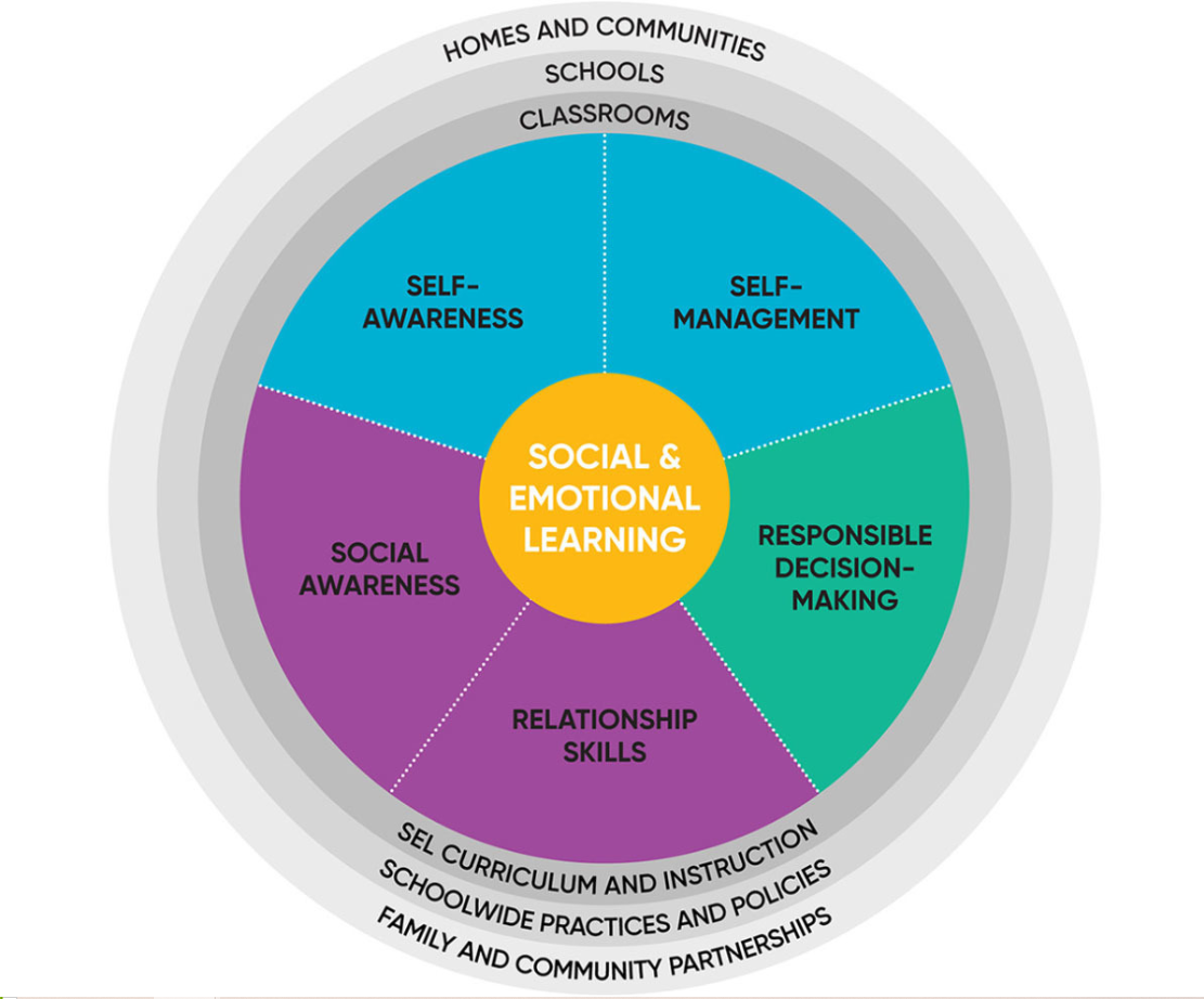 Evaluating the Effectiveness of SEL Programs: Key Metrics and Outcomes