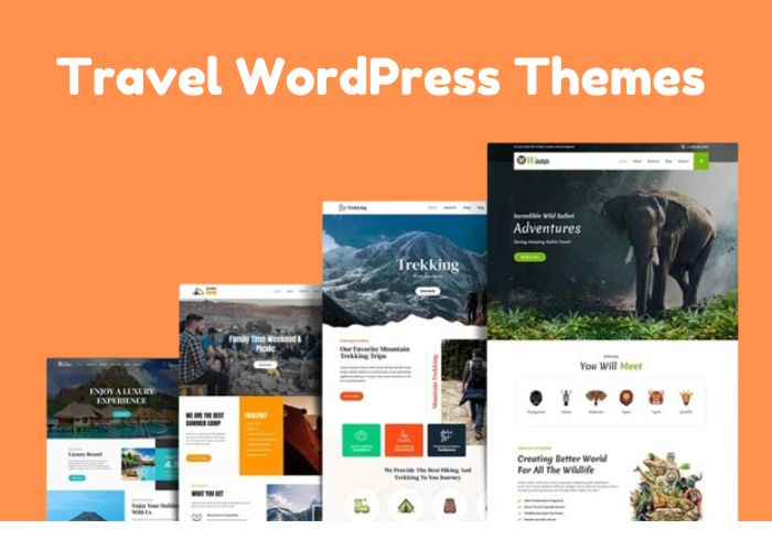 TravelWordPressThemeS