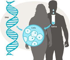 DNA Discoveries: Unveiling Your Genetic Story