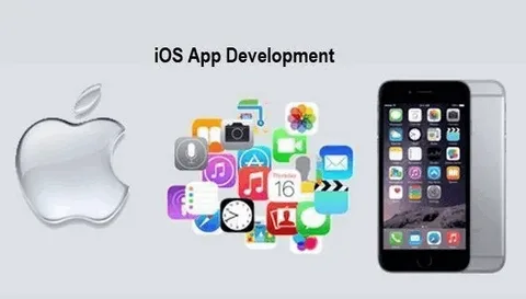 ios appA Deep Dive into iOS App Development: From Humble Beginnings to a Thriving Industry development company