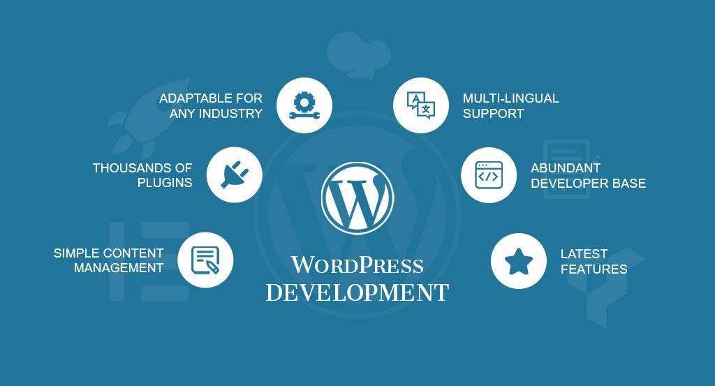 How to Choose the Right WordPress Development Company for Your Business