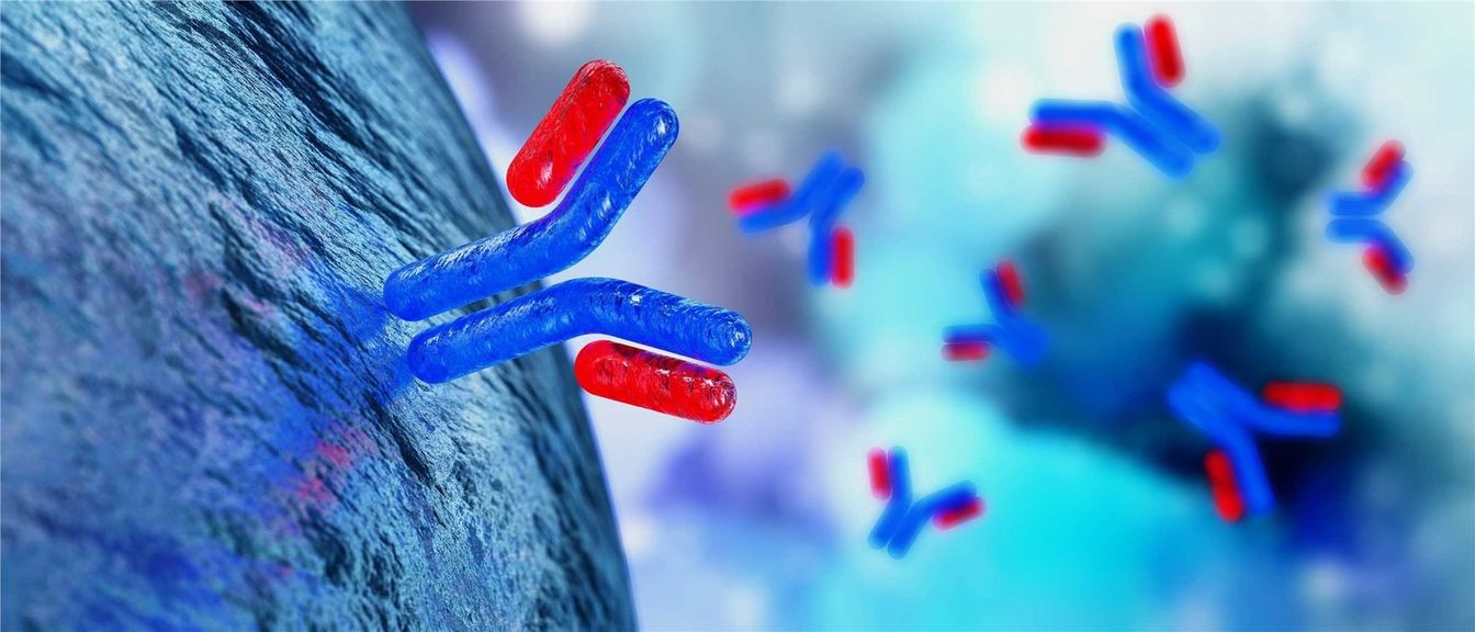 2-2-2-antibody-development-1