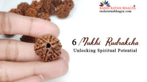 6 Mukhi Rudraksha Unlocking Spiritual Potential