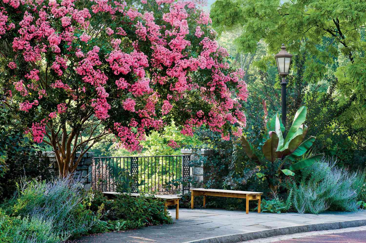 6 Must-Have Flowering Trees for Your Backyard