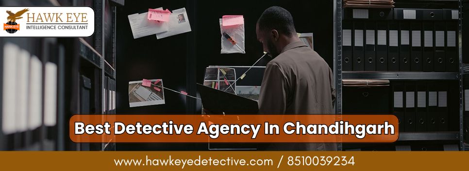 Best Detective Agency In Chandigarh