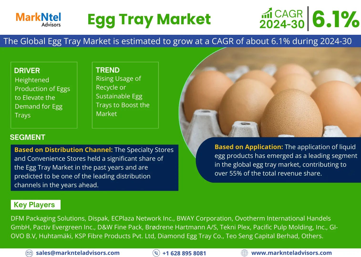 Egg Tray Market (1)-compressed