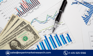 Global Health Economics and Outcomes Research (HEOR) Market