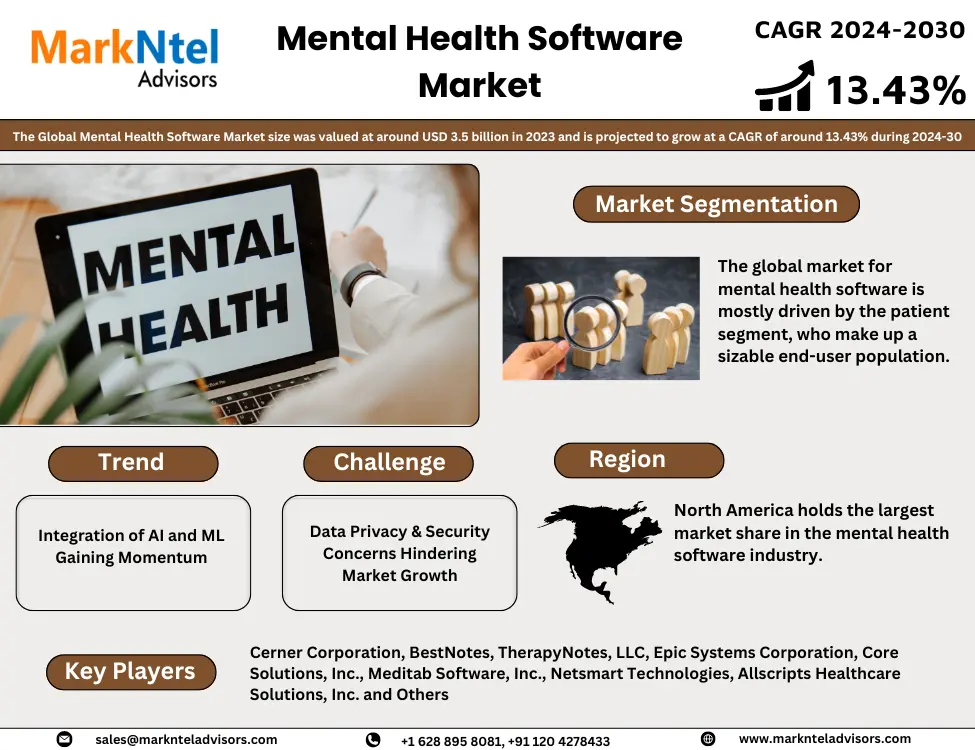 Global Mental Health Software Market