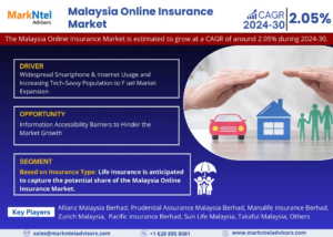 Malaysia Online Insurance Market (1)