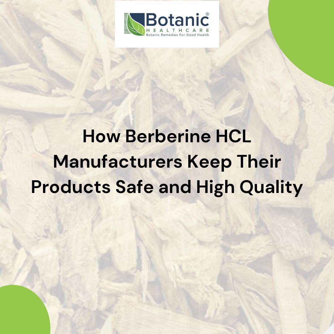 Berberine HCL manufacturers