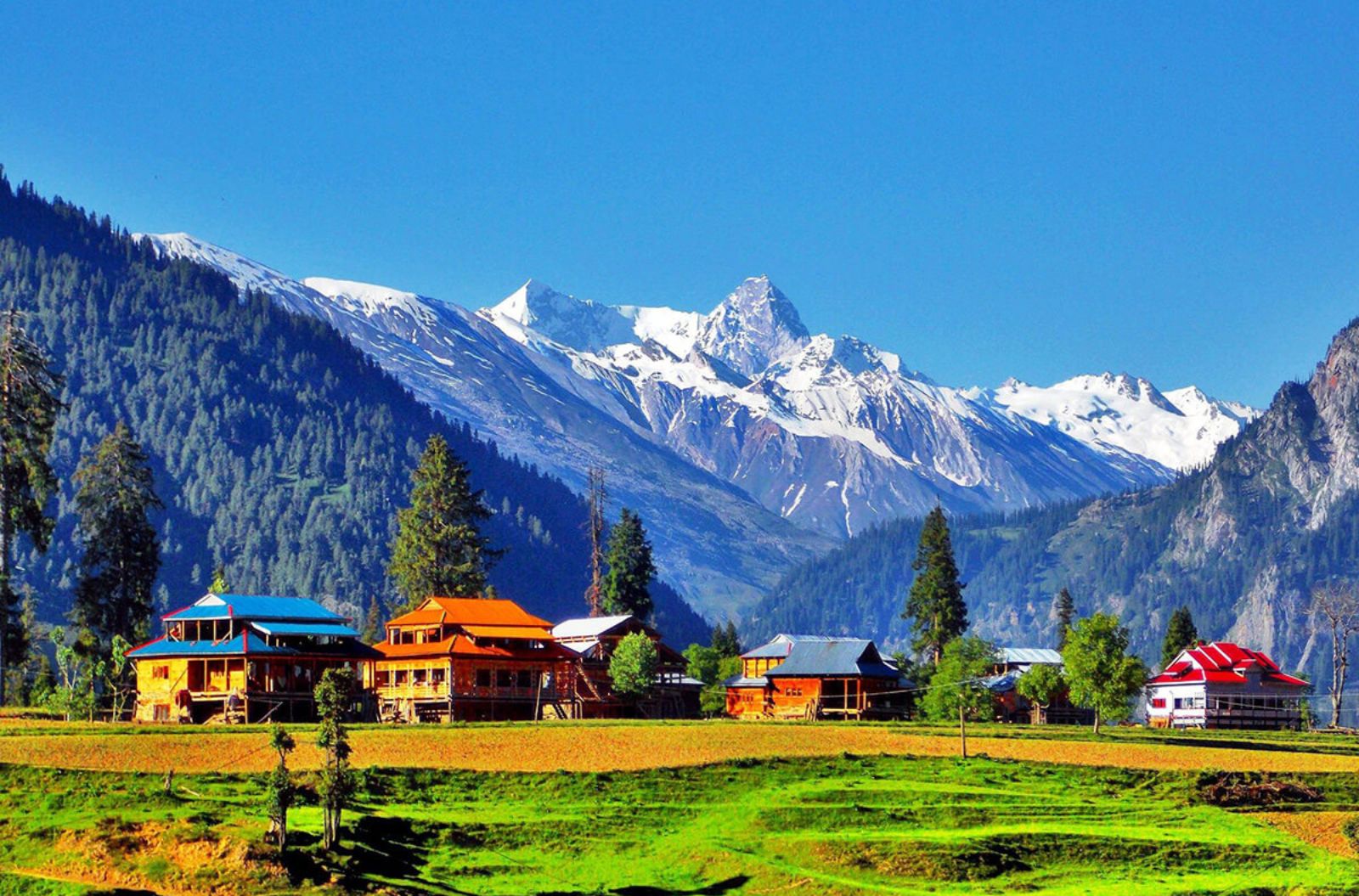 Planning a Family Trip to Kashmir from Bangalore