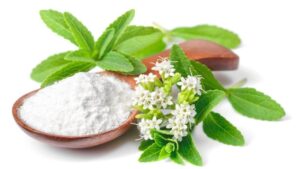 Stevia Processing Project Report