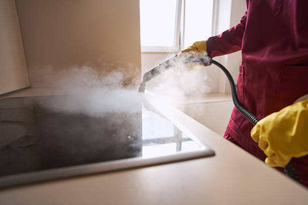 The Ultimate Guide to Carpet Steam Cleaning in Melbourne