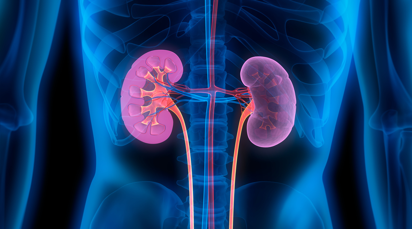 Navigating Top Kidney Care in Mumbai: A Guide to the Best Specialists