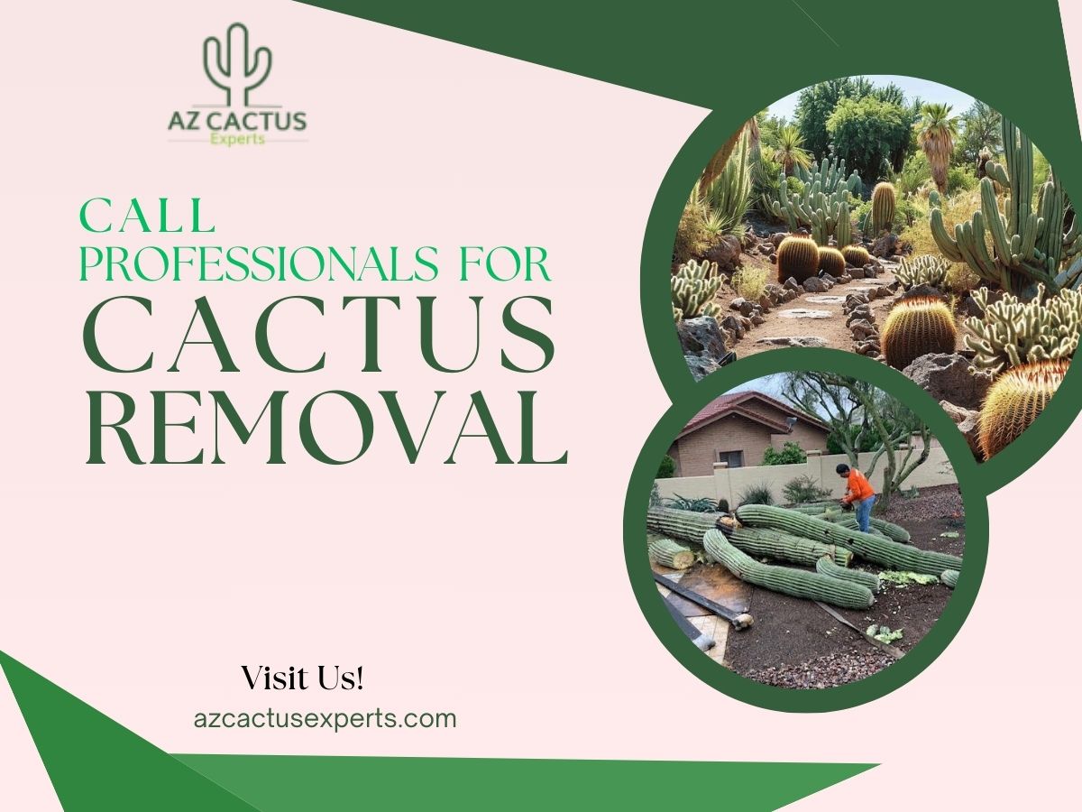 When to Call Professional For Cactus Removal