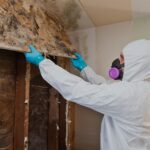 a professional is removing mold from wall