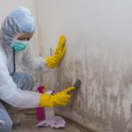 a woman is cleaning mold on wall