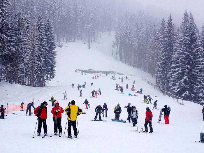 Discover the Best Shimla Tour Packages for an Unforgettable Vacation