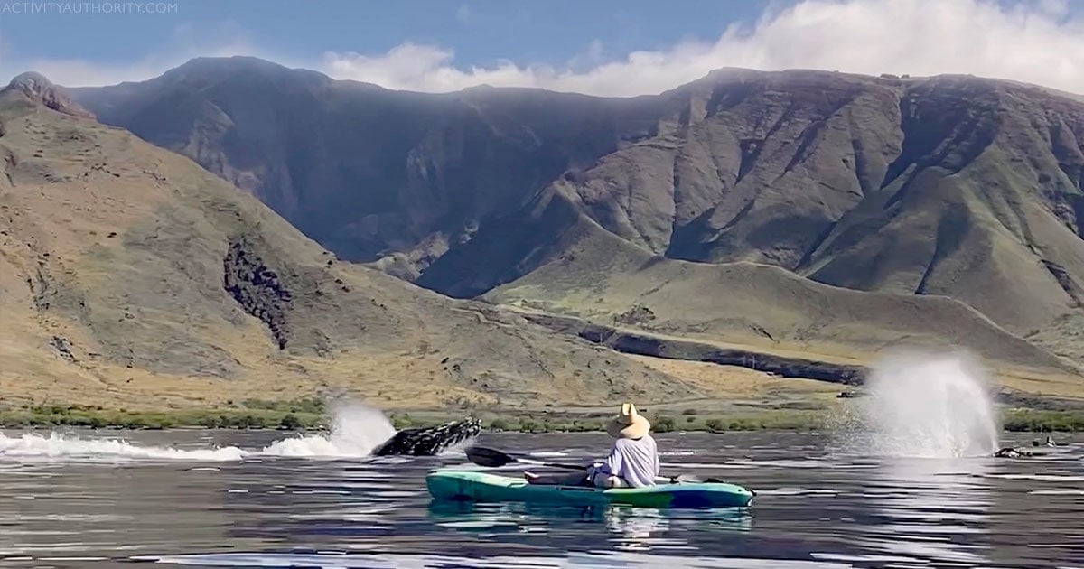 Maui Kayak Tour