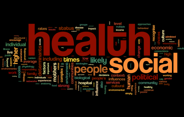 social-model-health-wordle1