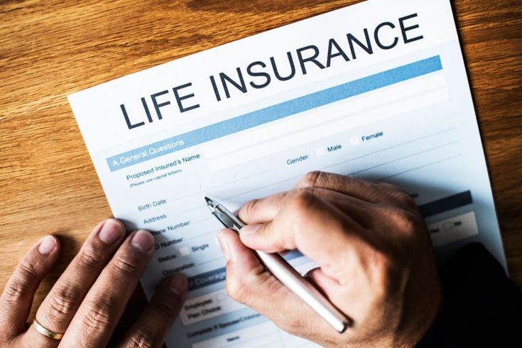 Term Life Insurance: Everything Need to Know