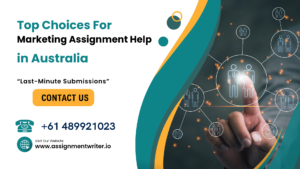 Best 3 management assignment help providers for college students (8)