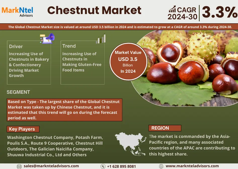 Chestnut Market Research