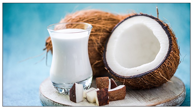 Coconut Milk Manufacturing Project Report