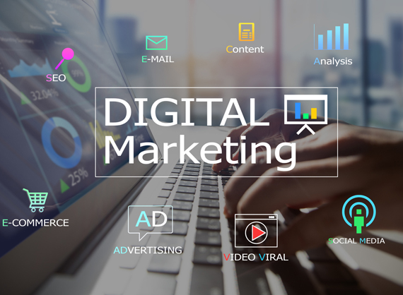 Elevate Your Business with South Florida Digital Marketing