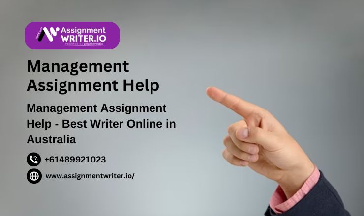 Elevate Your Accounting IQ The Ultimate Assignment Help Companioneeb