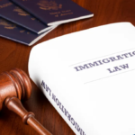 Expert Immigration Lawyer