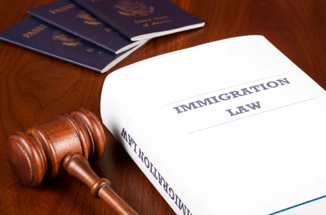 Expert Immigration Lawyer