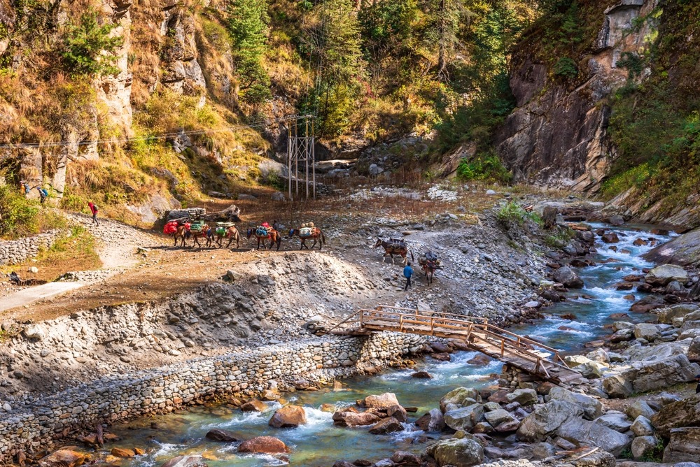 Har Ki Dun Trek