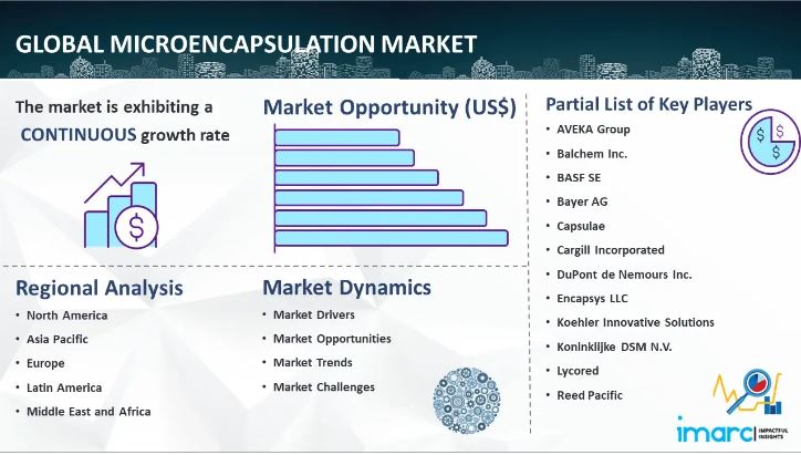 Microencapsulation Market is Expected To Grow at a CAGR of 7.8% by 2032