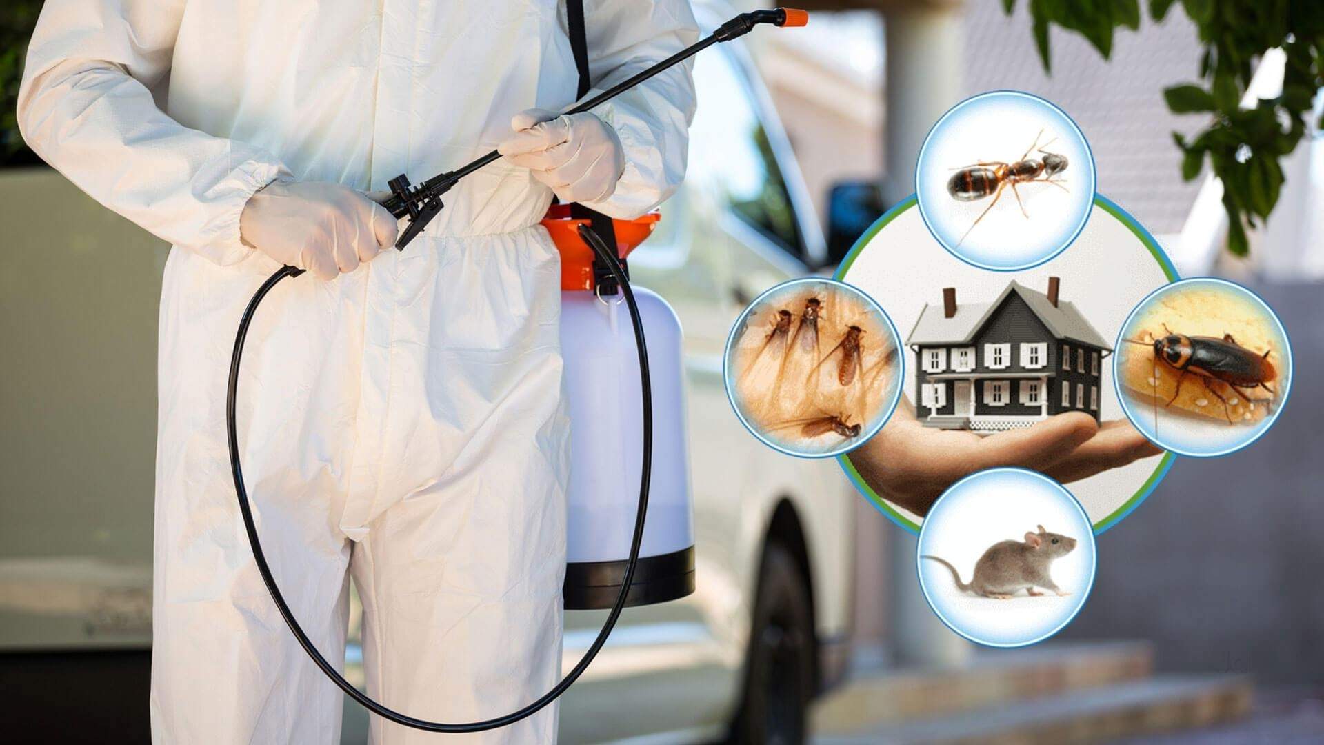 Effective Residential Pest Control Lansing MI: Keep Your Home Safe