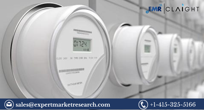 Smart Electric Meter Market (1)