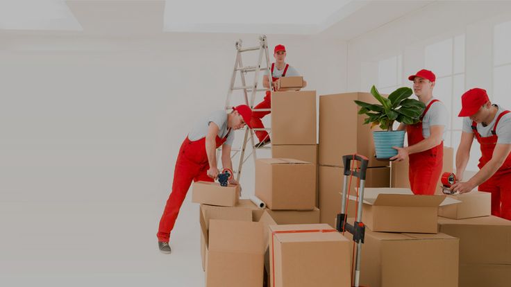 The Role Of Packers And Movers In Today’s Time