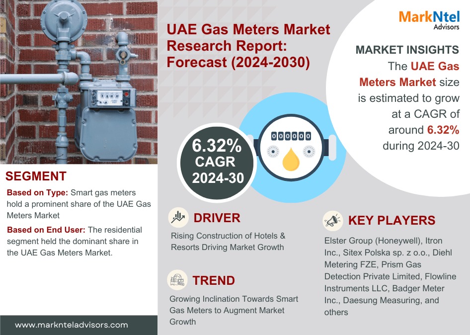 United Arab Emirates (UAE) Gas Meters Market Research