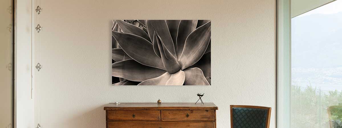 Transforming Your Photos into Timeless Metal Prints