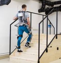 Exoskeleton System Market Size, Share Growth & Trends Analysis