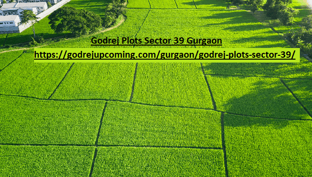 godrej-plots-sector-39