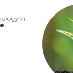 nanotechnology-in-agriculture