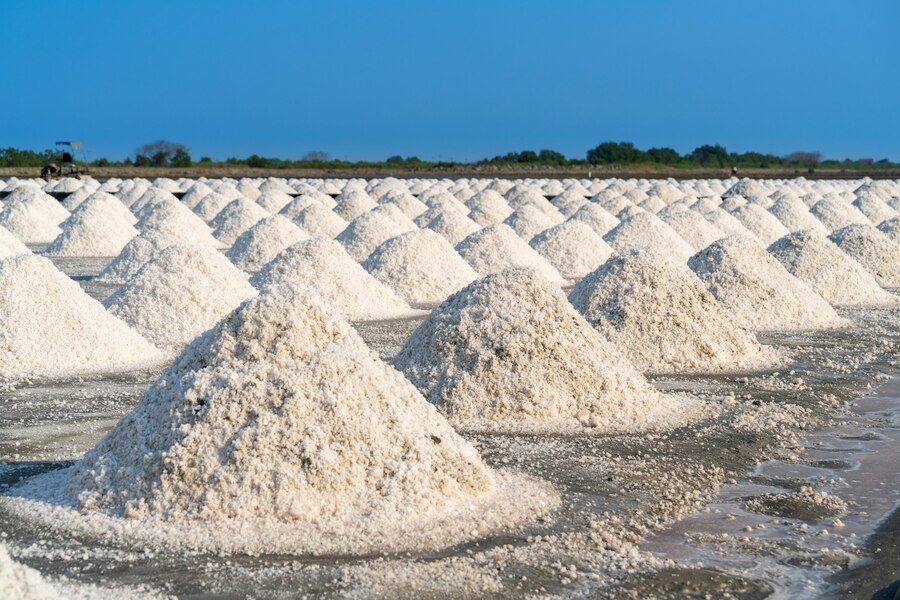 salt-salt-farm-ready-harvest-thailand_335224-1149