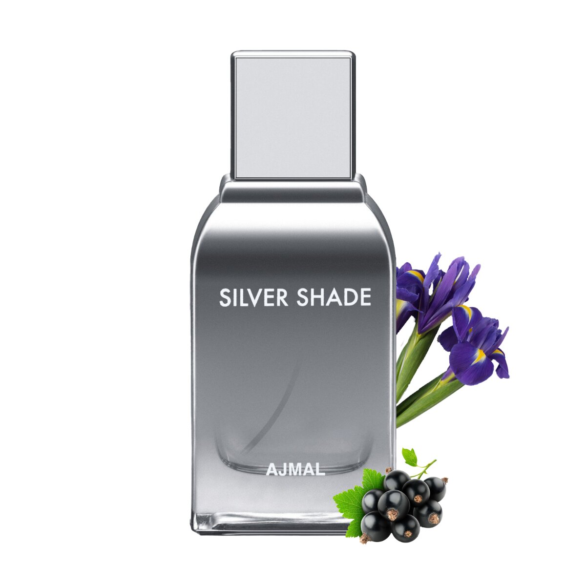 silver_shade_01_1_