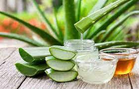 Aloe Vera Extract