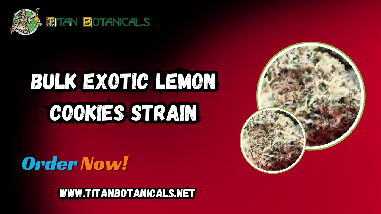 Bulk Exotic Lemon Cookies Strain