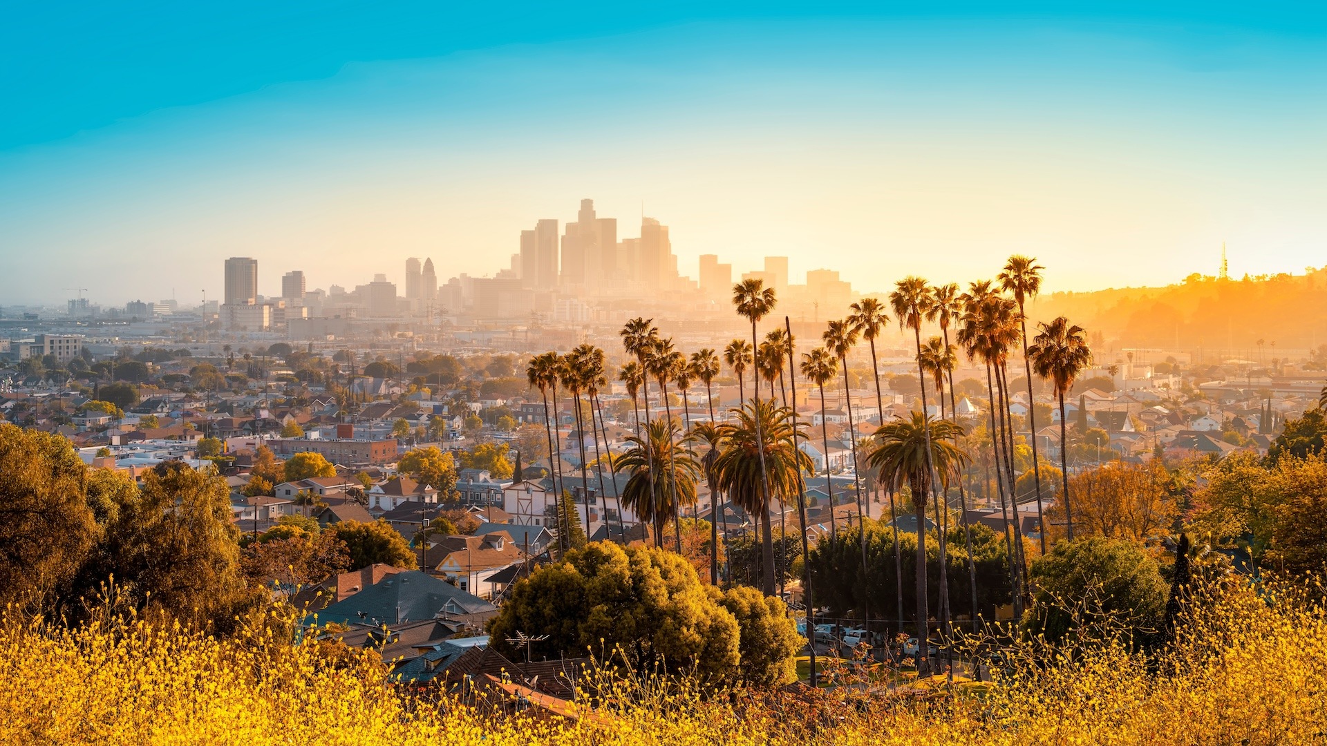 Cheap Flights from Atlanta to LA: Top Deals & Tips