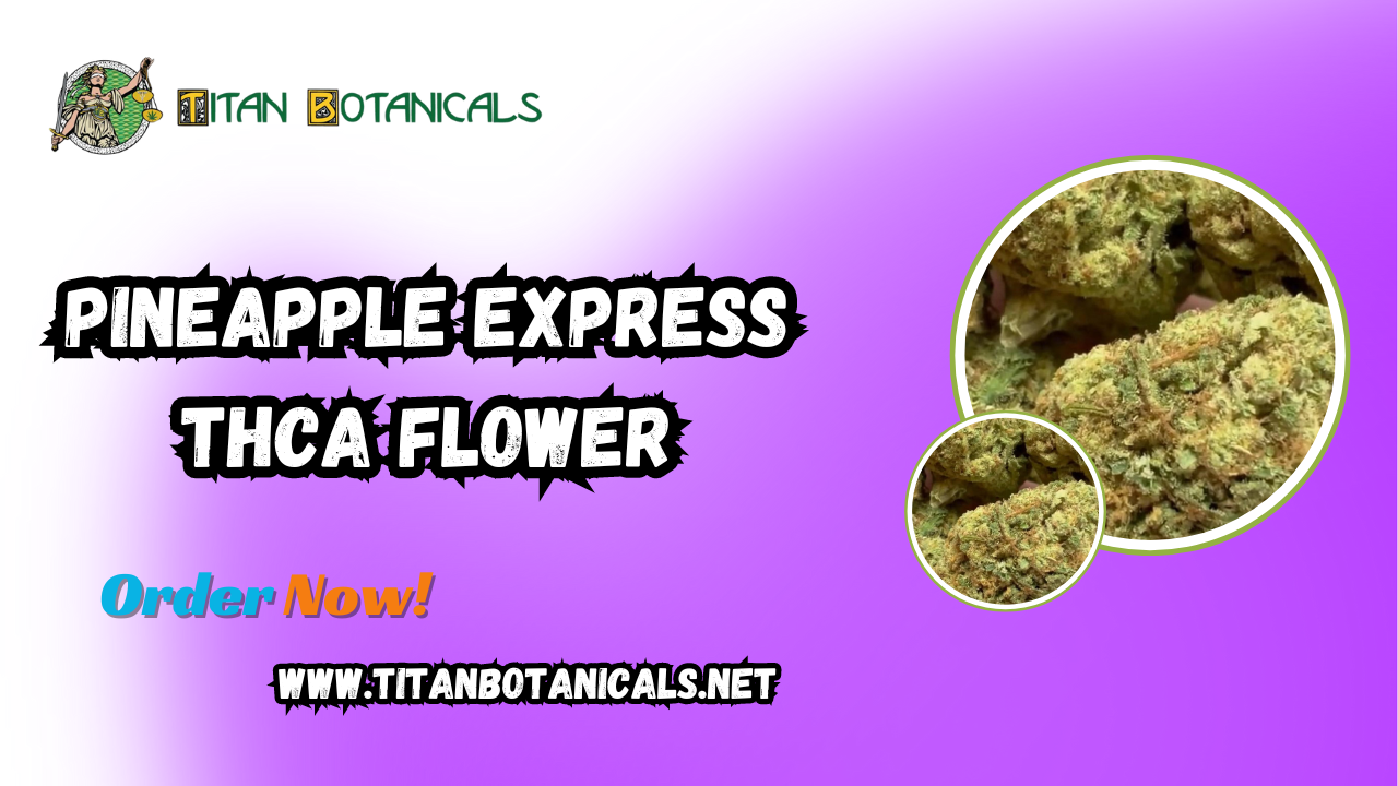 Enhance Your Smoking Experience with Pineapple Express THCA Flower