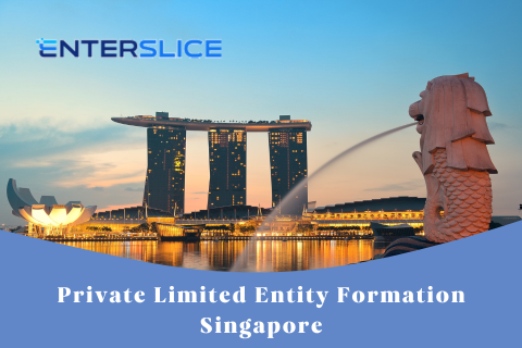 Private Limited Entity Formation Singapore