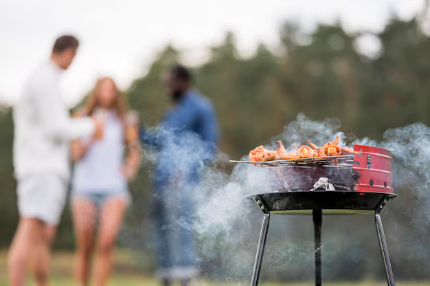 Screenshot 2024-10-29 at 15-46-07 barbecue-roasting-food-with-friends-conversing_23-2148733583.jpg (AVIF Image 626 × 416 pixels)